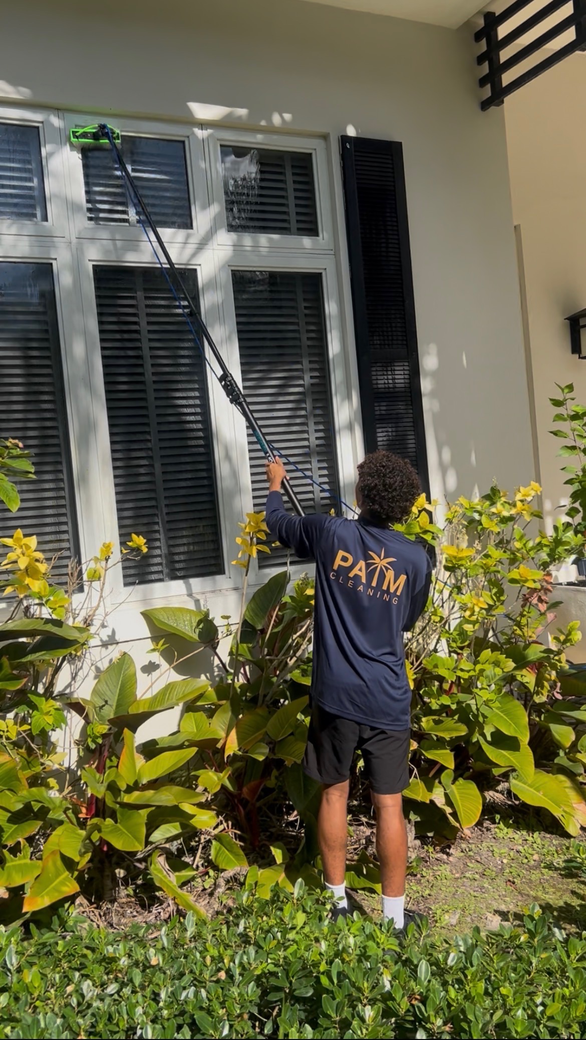 Palm Cleaning team in Miami