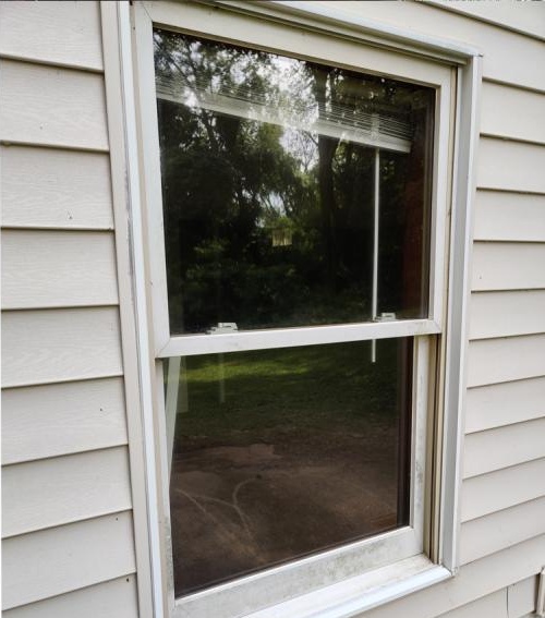 Palm Cleaning results — after window cleaning Miami